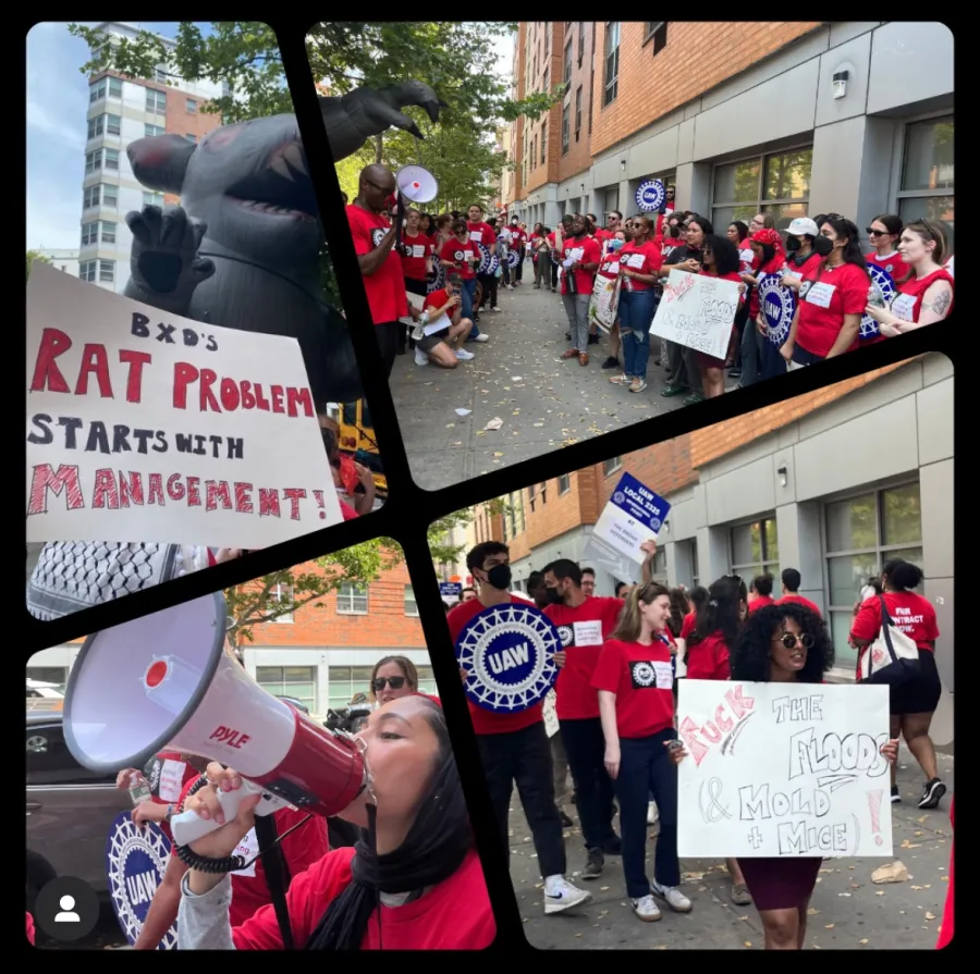 Bronx Defenders Union practice pickets