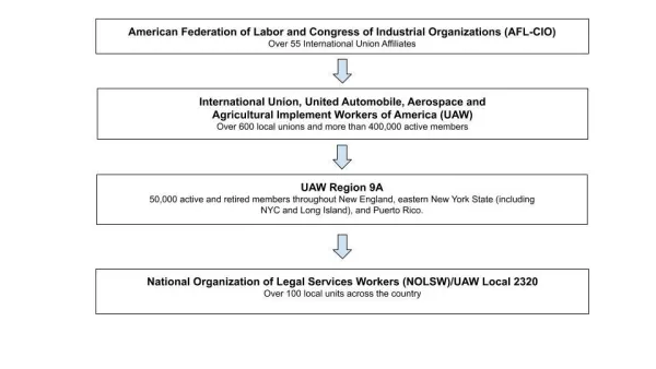 nion_organization_chart_1.jpg