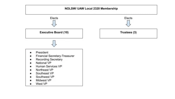 nion_organization_chart.jpg